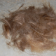 Illustration for article titled Whats your preferred method of hair removal?